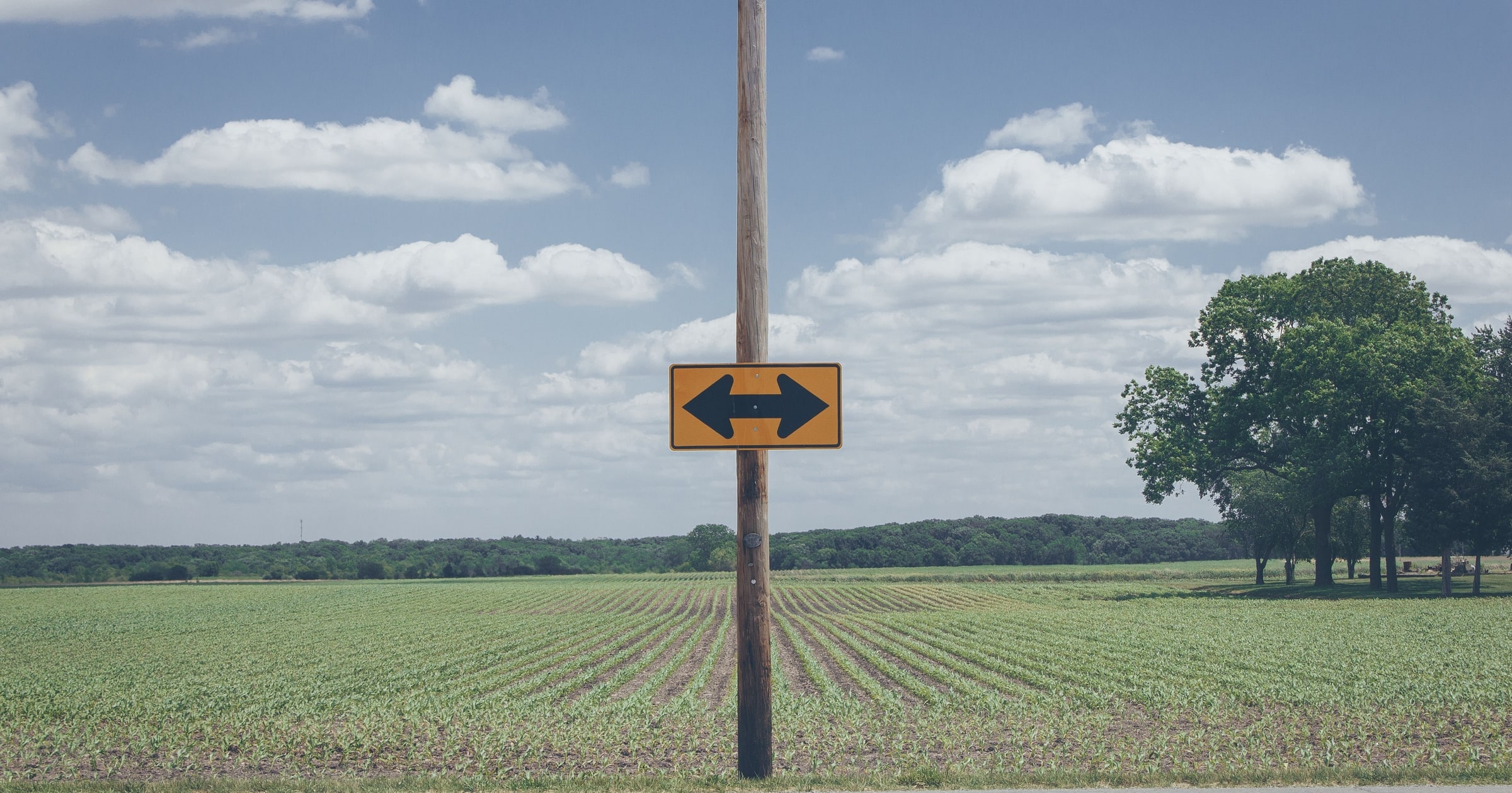 A yellow road sign on a wooden pole in a green field, with black arrows pointing left and right.